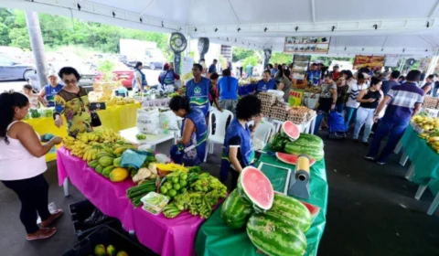 Manaus tem feiras no Crespo, Cidade Nova, Flores e Ponta Negra neste fim de semana; veja pontos