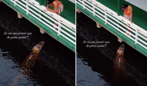 Tem coragem? mulher observa jacaré gigante perto de flutuante no Amazonas; veja vídeo