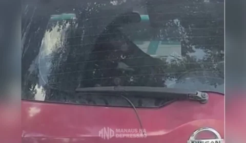 Carro balançando: vídeo de casal em momento quente viraliza em Manaus