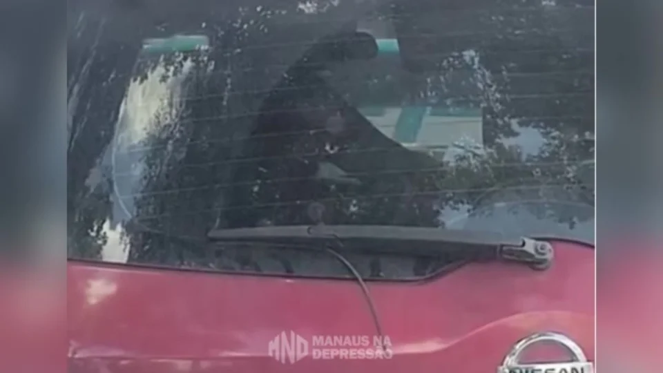 Carro balançando: vídeo de casal em momento quente viraliza em Manaus