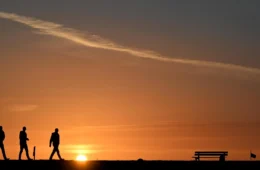 Em ano de COP, ONU alerta para recorde de calor global nos próximos cinco anos