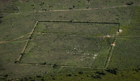 Imagens revelam descobertas sobre civilizações indígenas antigas no Amazonas