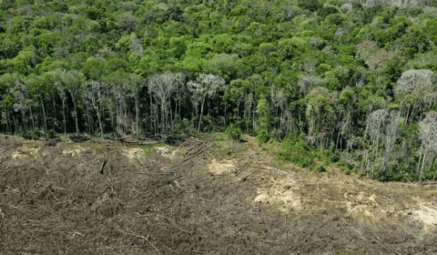 Senado aprova flexibilização do licenciamento ambiental em meio a críticas