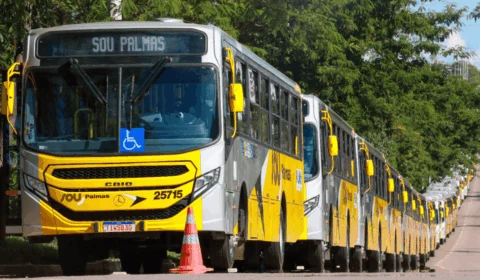 Gratuidade do transporte coletivo em Palmas: veja até quando