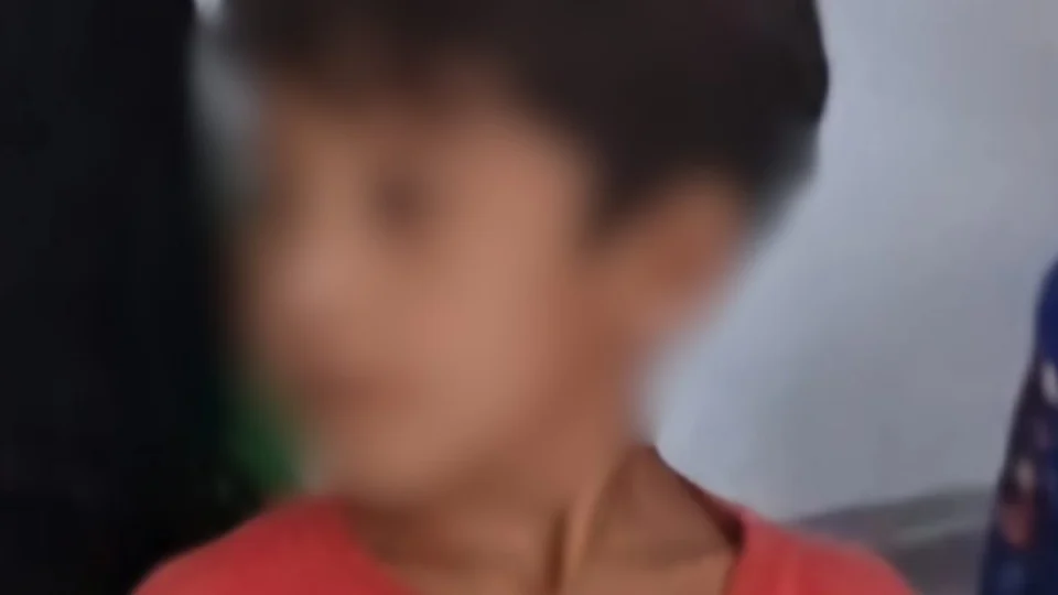 Criança desaparece após pescaria no Amazonas; suspeita é de ataque de jacaré