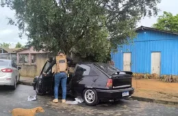 Suspeitos de tráfico são presos com drogas, armas, dinheiro e até pássaros durante operação em Roraima