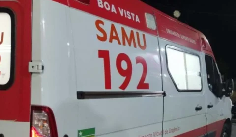 Motorista atira contra cachorro e tutor após animal correr atrás de carro em Boa Vista