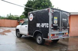 Homem morre após ataque de abelhas africanas no Amazonas