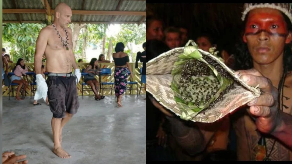 Aventureiro britânico Ed Stafford enfrenta o ‘ritual da Tucandeira’ no Amazonas; confira