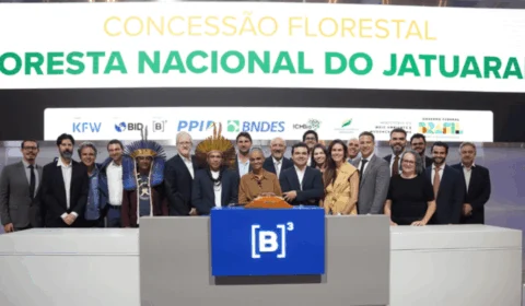 Amazonas vende Flona do Jatuarana no primeiro leilão para gestão de florestas