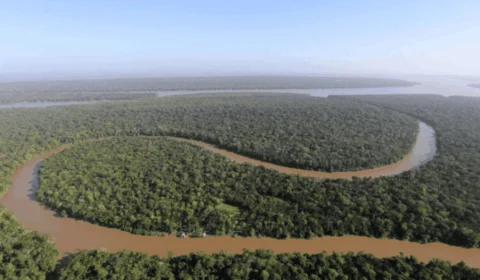 ‘Grande retrocesso’, alerta doutora em ESG sobre mudanças na lei ambiental