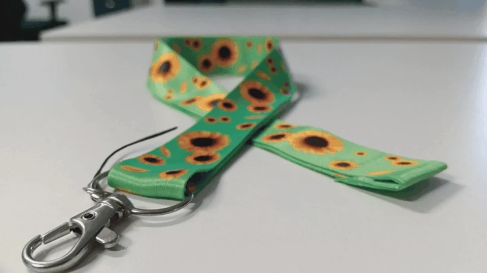 Roraima tem menor índice de pessoas com deficiência no Brasil, revela Censo 2022