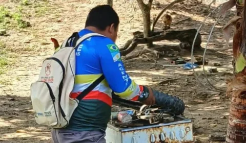 Epidemia de dengue ameaça 80% dos municípios de Roraima, aponta pesquisa