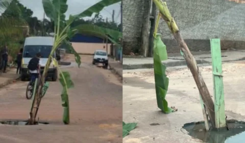 Moradores plantam bananeira em buraco para protestar contra abandono de ruas em Roraima