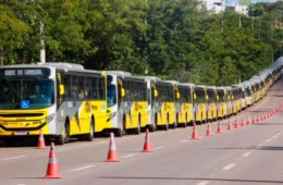 Problemas no transporte público de Palmas levam MPTO a abrir investigação