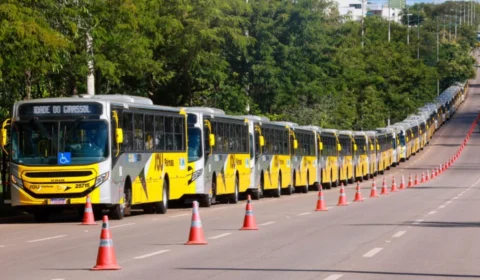 Reajuste na tarifa de ônibus começa a valer em Palmas; confira o novo preço