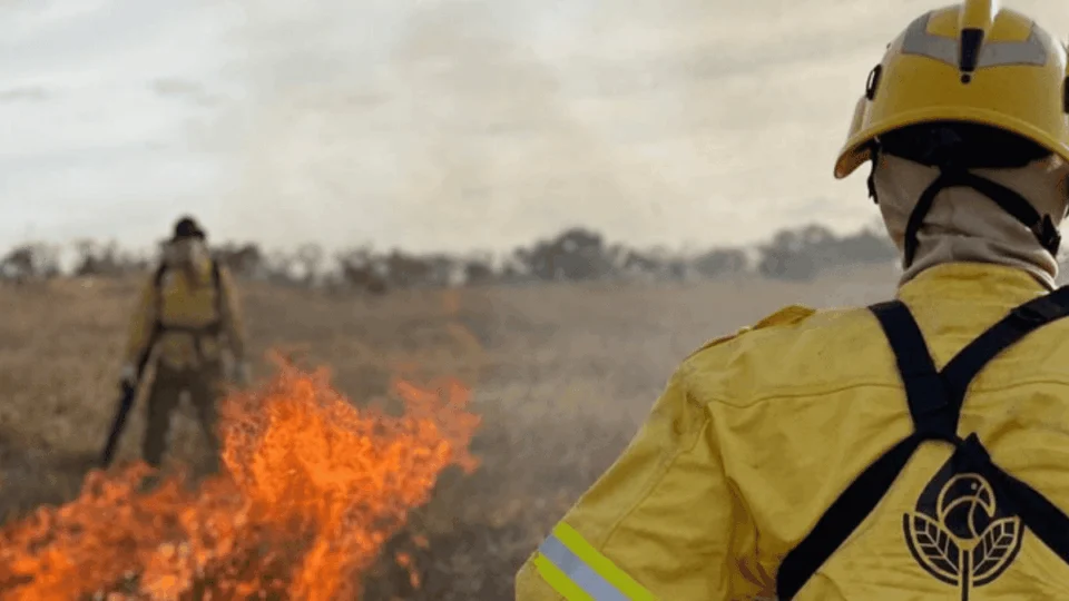 Governo envia brigadistas para combate a incêndios em 17 estados; veja lista