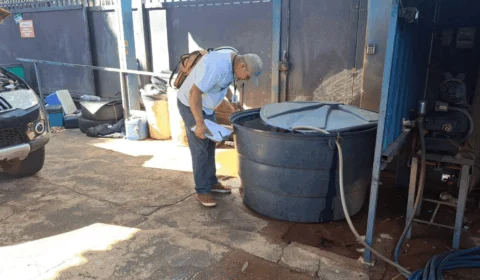 Novo tipo de dengue no Tocantins: saiba como identificar e quais os cuidados necessários