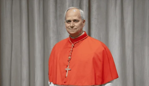 Matemático e seguidor de Santo Agostinho: a doutrina do cardeal Prevost, papa Leão XIV