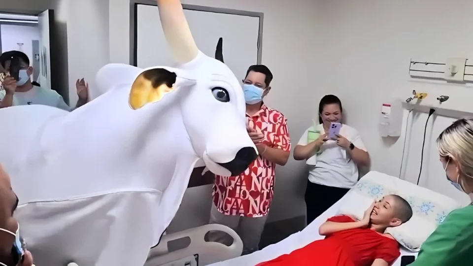 Deborah Hernani, influenciadora que recebeu visita do Garantido, morreu em Manaus após luta contra leucemia