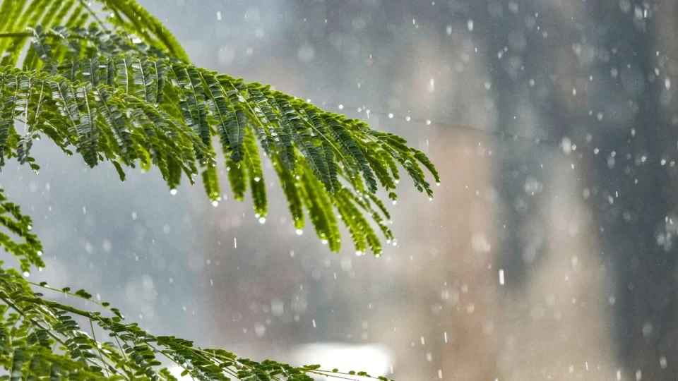 Previsão do tempo em Boa Vista: confira clima para hoje (13)