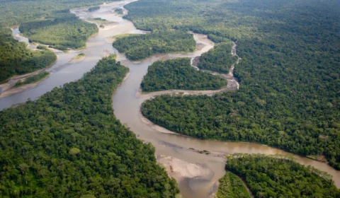 Morador afirma ter visto avião caindo entre Parintins e Barreirinha, no Amazonas