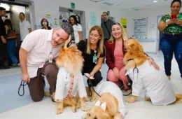 Visita especial: cães terapeutas vão a hospital e ajudam na recuperação de pacientes em Manaus
