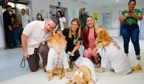Visita especial: cães terapeutas vão a hospital e ajudam na recuperação de pacientes em Manaus