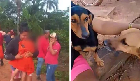 Criança de 2 anos desaparecida é encontrada com cães que o protegeram em mata no Amazonas