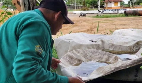 Casos de dengue ultrapassam 2,9 mil no Amazonas em 2025