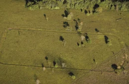 ‘Município dos Geoglifos’: Boca do Acre pode se tornar destino turístico arqueológico no Amazonas
