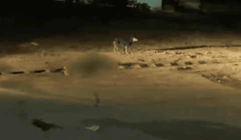 Atropelamento fatal na AC-10: motorista foge após matar homem de 54 anos em Rio Branco