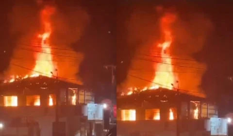 VÍDEO: cachorro morre carbonizado em incêndio que destruiu vila de apartamentos e comércio em Porto Velho