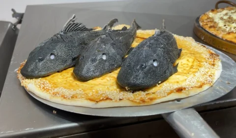 Pizza de bodó? Conheça o prato inusitado que viralizou em Manaus