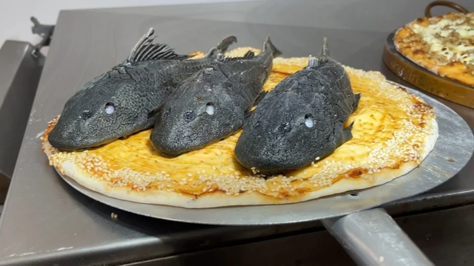 Pizza de bodó? Conheça o prato inusitado que viralizou em Manaus