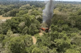 Justiça proíbe garimpo ilegal em terra indígena no Amazonas e cobra R$ 18,5 milhões em reparação