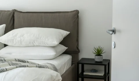 Ácaros no travesseiro: saiba como a limpeza correta pode proteger sua saúde e evitar alergias