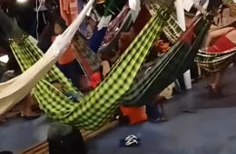 VÍDEO: Barco perde controle e avança contra árvore no Rio Solimões, no Amazonas