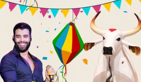 Fim de semana em Manaus tem shows, boi-bumbá e festas para todos os gostos; veja o que rola de 6 a 8 de junho