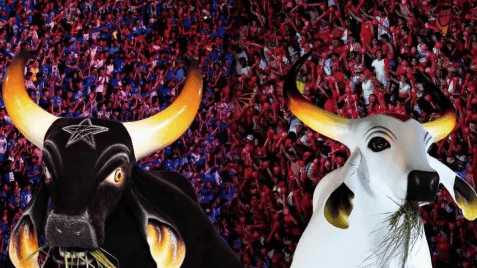 Onde assistir à apuração do Festival de Parintins 2025? Confira local e horário