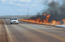 Queimadas no Tocantins: saiba como dirigir em meio à fumaça