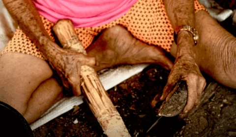 ‘Babaçu é Clima’: quebradeiras de coco do Tocantins levam tradição e resistência à COP-30