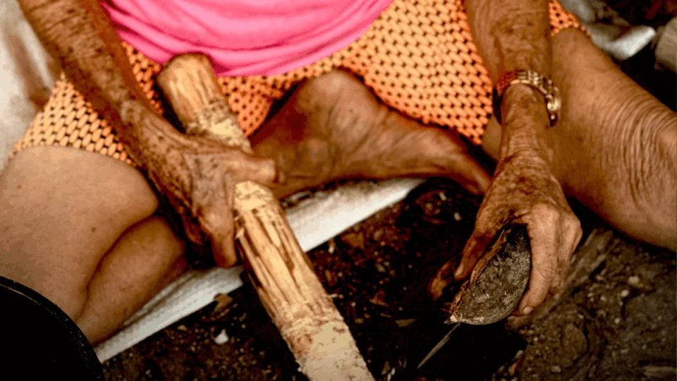 ‘Babaçu é Clima’: quebradeiras de coco do Tocantins levam tradição e resistência à COP-30