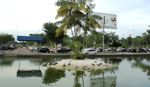 Lago do Aeroporto de Manaus: conheça a história do espelho d’água que virou aquaterrário