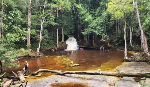 Cachoeira das Orquídeas reabre após presença de onça-pintada em Presidente Figueiredo