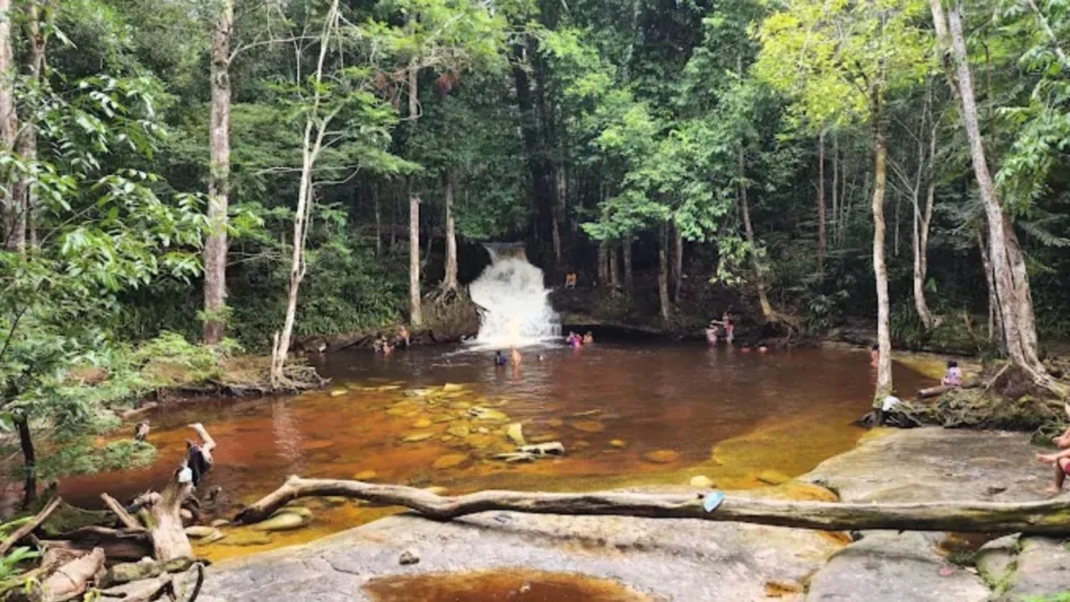 Cachoeira das Orquídeas reabre após presença de onça-pintada em Presidente Figueiredo