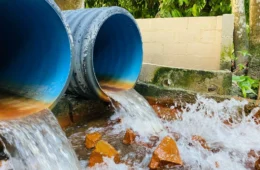 Dia Mundial do Meio Ambiente: saneamento busca salvar igarapés de Manaus