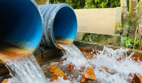 Dia Mundial do Meio Ambiente: saneamento busca salvar igarapés de Manaus