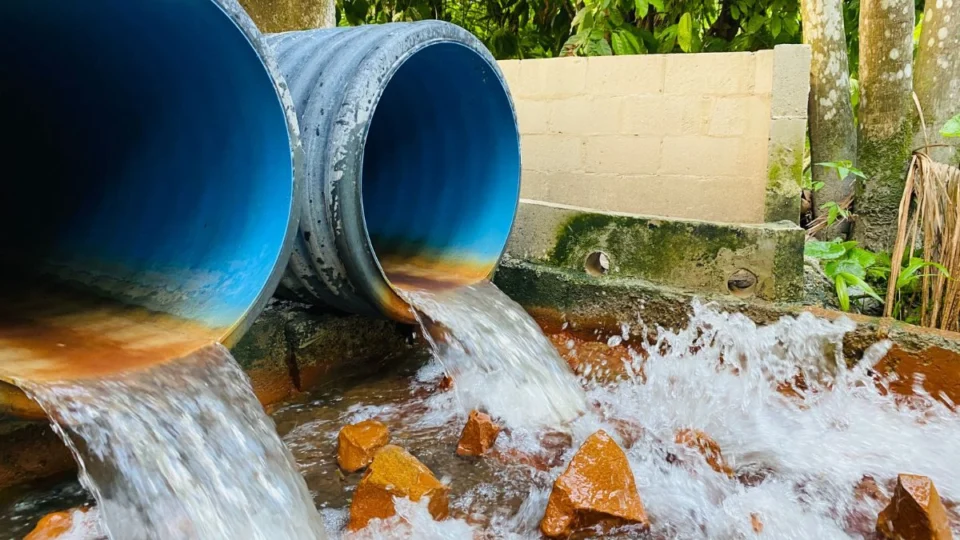 Dia Mundial do Meio Ambiente: saneamento busca salvar igarapés de Manaus