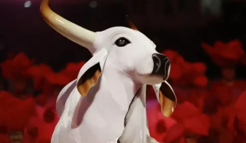 Veja se o boi Garantido perderia o Festival de Parintins 2025 sem notas de jurada polêmica